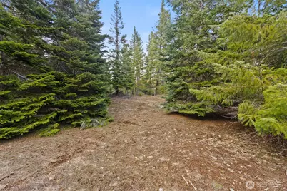 3301 Jenkins Drive, Cle Elum, WA 98922 - Photo 8