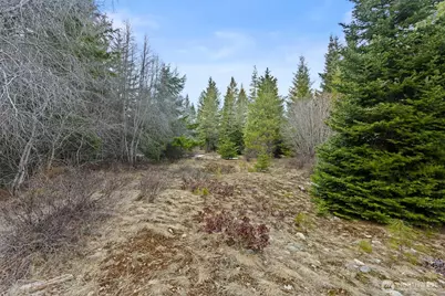 3301 Jenkins Drive, Cle Elum, WA 98922 - Photo 14