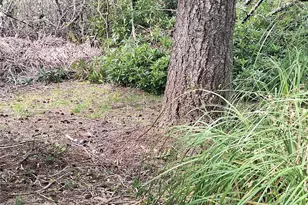 818 W Ocean Ave, Westport, WA 98595 - Photo 18