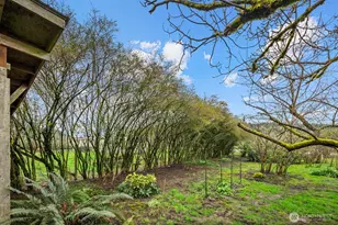 20807 Orville Rd E, Orting, WA 98360 - Photo 24