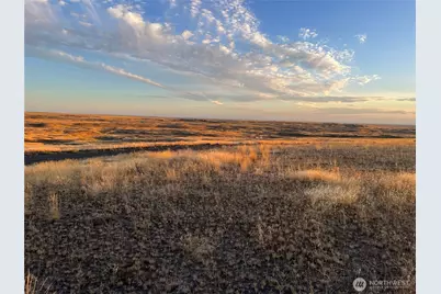 45 Eagle Springs Ranch, Wilson Creek, WA 98860 - Photo 2