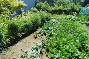 24609 Florence Acres Rd, Monroe, WA 98272 - Photo 40