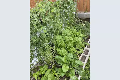 8365 Golden Valley Boulevard, Maple Falls, WA 98266 - Photo 26