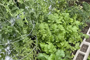 8365 Golden Valley Blvd, Maple Falls, WA 98266 - Photo 26