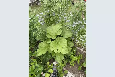 8365 Golden Valley Boulevard, Maple Falls, WA 98266 - Photo 28