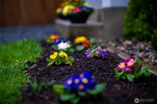 8365 Golden Valley Blvd, Maple Falls, WA 98266 - Photo 30