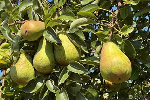 3634 Deer Park Rd, Port Angeles, WA 98362 - Photo 32