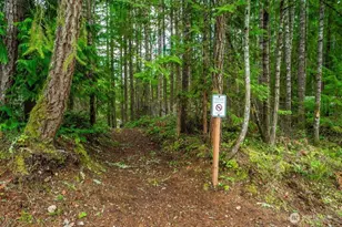 18603 Woodside Dr SE, Yelm, WA 98597 - Photo 32