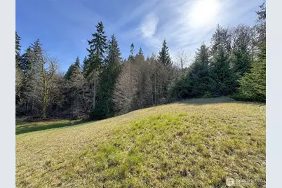 0 Lot 18 Delguzzi Drive, Port Angeles, WA 98362 - Photo 6