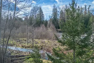 346 Dungeness Meadows, Sequim, WA 98382 - Photo 34