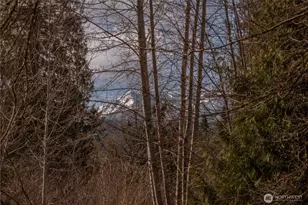 346 Dungeness Meadows, Sequim, WA 98382 - Photo 36