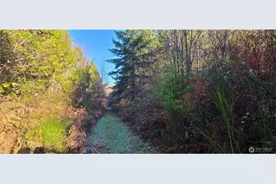 0 Cornwall Road NW, Lakebay, WA 98349 - Photo 2