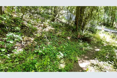 116 Xx 198th Ave SE, Issaquah, WA 98027 - Photo 6