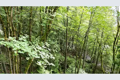 116 Xx 198th Ave SE, Issaquah, WA 98027 - Photo 4