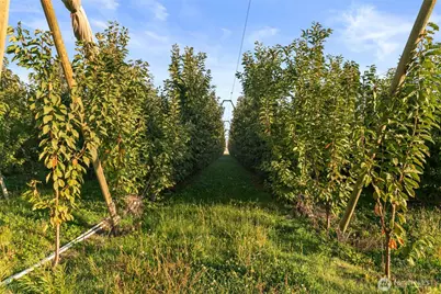 0 Road 9 NW, Quincy, WA 98848 - Photo 8