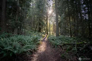 1120 Birch Falls Dr, Bellingham, WA 98229 - Photo 34