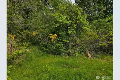 0 E Sullivan Street, Allyn, WA 98524 - Photo 4