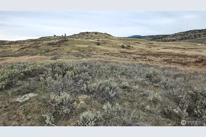 174 Round Up Road, Oroville, WA 98844 - Photo 20