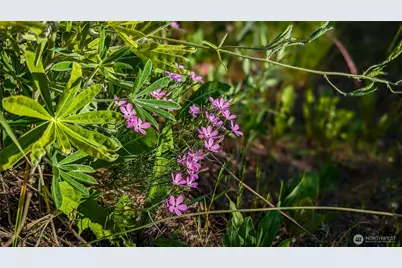 837 C Ellemeham Mountain Road, Oroville, WA 98844 - Photo 24