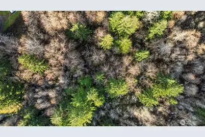 16506 118th Street NW, Gig Harbor, WA 98329 - Photo 2