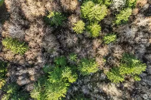 16506 118th St NW, Gig Harbor, WA 98329 - Photo 2