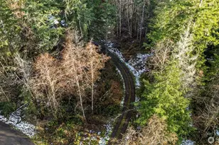 16506 118th St NW, Gig Harbor, WA 98329 - Photo 6