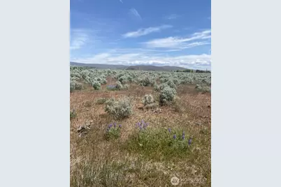 3 A Lester Road, Ellensburg, WA 98926 - Photo 4