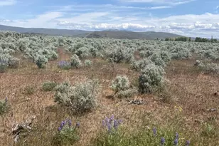 3 A Lester Rd, Ellensburg, WA 98926 - Photo 4