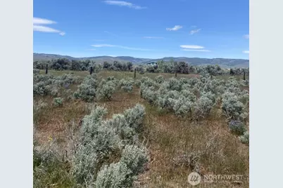 3 A Lester Road, Ellensburg, WA 98926 - Photo 12