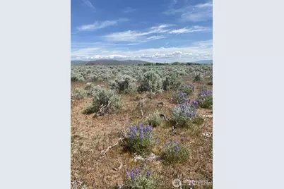 3 A Lester Road, Ellensburg, WA 98926 - Photo 8