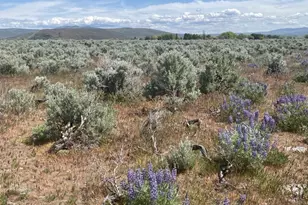 3 A Lester Rd, Ellensburg, WA 98926 - Photo 8