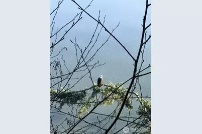 3817 Bells Beach Road, Langley, WA 98260 - Photo 40