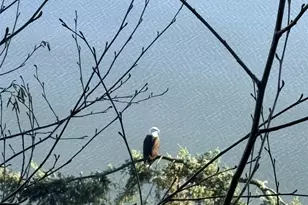 3817 Bells Beach Rd, Langley, WA 98260 - Photo 40