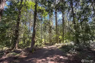 0 Place Rd, Port Angeles, WA 98363 - Photo 40