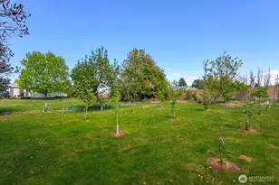 6293 Road 3 3 NE, Moses Lake, WA 98837 - Photo 12