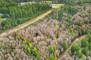 0 Tr 1&2 E Agate Rd, Shelton, WA 98584 - Photo 1