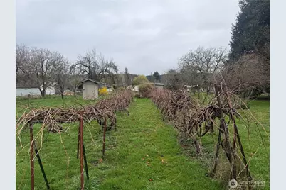 35 Hamilton Avenue, Quilcene, WA 98376 - Photo 4