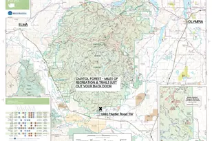 12832 Hunter Rd SW, Rochester, WA 98579 - Photo 4