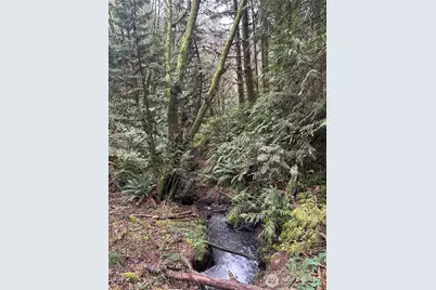 12832 Hunter Road SW, Rochester, WA 98579 - Photo 36