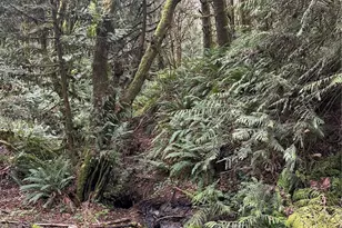 12832 Hunter Rd SW, Rochester, WA 98579 - Photo 36