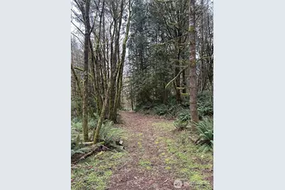 12832 Hunter Road SW, Rochester, WA 98579 - Photo 32