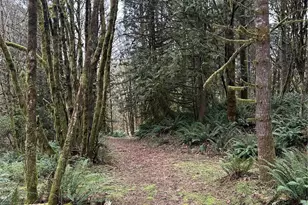 12832 Hunter Rd SW, Rochester, WA 98579 - Photo 32