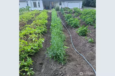 12832 Hunter Road SW, Rochester, WA 98579 - Photo 32