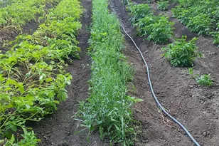 12832 Hunter Rd SW, Rochester, WA 98579 - Photo 32