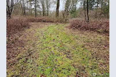 13036 188th Avenue SW, Rochester, WA 98579 - Photo 12