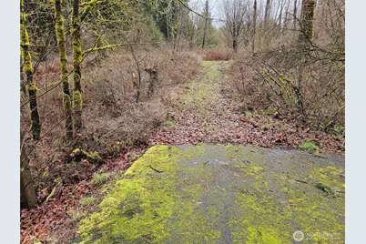 13036 188th Avenue SW, Rochester, WA 98579 - Photo 2