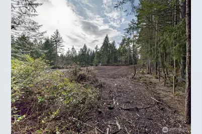 621 E Strong Road, Shelton, WA 98584 - Photo 10