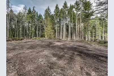 621 E Strong Road, Shelton, WA 98584 - Photo 18