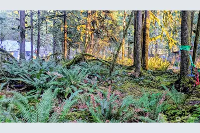 0 W Cascade Drive #1-9/10, Marblemount, WA 98267 - Photo 12