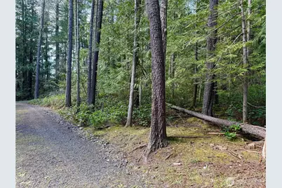 1111 Tarte Road, Friday Harbor, WA 98250 - Photo 12